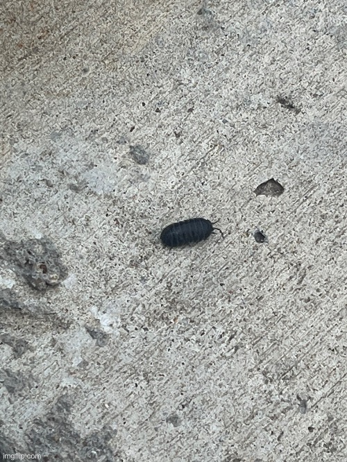 picture i took this morning. i am an Excellent Photographer | made w/ Imgflip meme maker