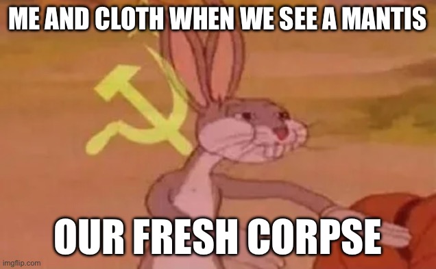 Bugs bunny communist | ME AND CLOTH WHEN WE SEE A MANTIS; OUR FRESH CORPSE | image tagged in bugs bunny communist | made w/ Imgflip meme maker