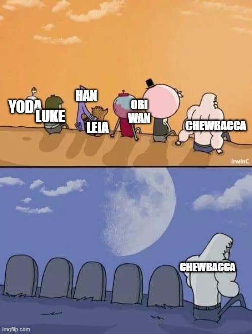 Posting Star Wars memes until May 4th | HAN; LUKE; YODA; OBI WAN; CHEWBACCA; LEIA; CHEWBACCA | image tagged in regular show graves | made w/ Imgflip meme maker