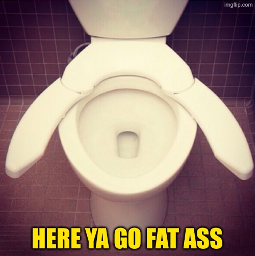 Here ya Go | HERE YA GO FAT ASS | image tagged in hilarious memes,toilets,fat ass,fat people,here ya go,dude wtf | made w/ Imgflip meme maker