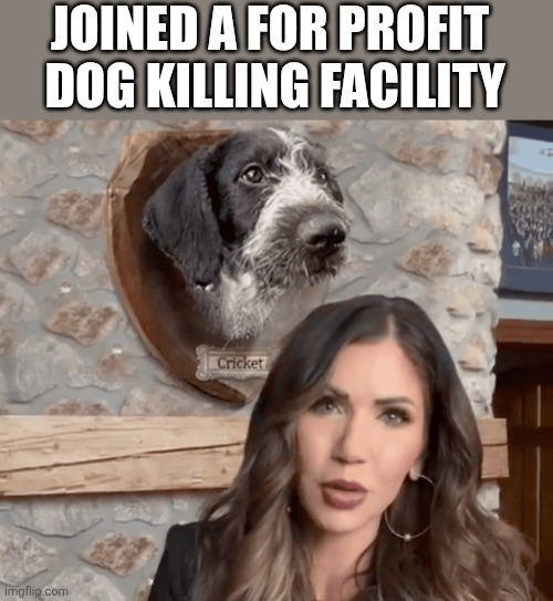 noem | JOINED A FOR PROFIT 
DOG KILLING FACILITY | image tagged in kristi noem cricket mounted head trump election,dog killer | made w/ Imgflip meme maker