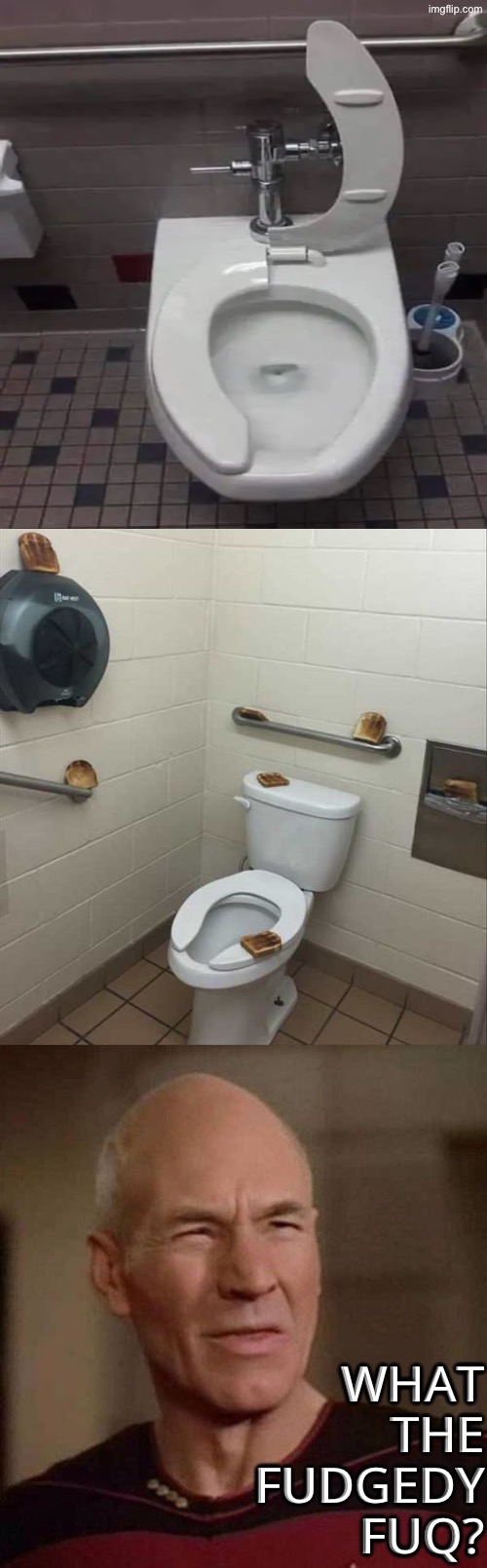 What The Fudgedy Fuq | WHAT THE FUDGEDY FUQ? | image tagged in toilets,dafuq picard,what the fudgedy fuq,excuse me wtf,hilarious memes,toast | made w/ Imgflip meme maker