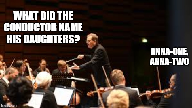 What did the musical conductor name his two daughters?   --  funny  -- | WHAT DID THE CONDUCTOR NAME HIS DAUGHTERS? ANNA-ONE, ANNA-TWO | image tagged in funny,humor,names,play on words,funny meme | made w/ Imgflip meme maker