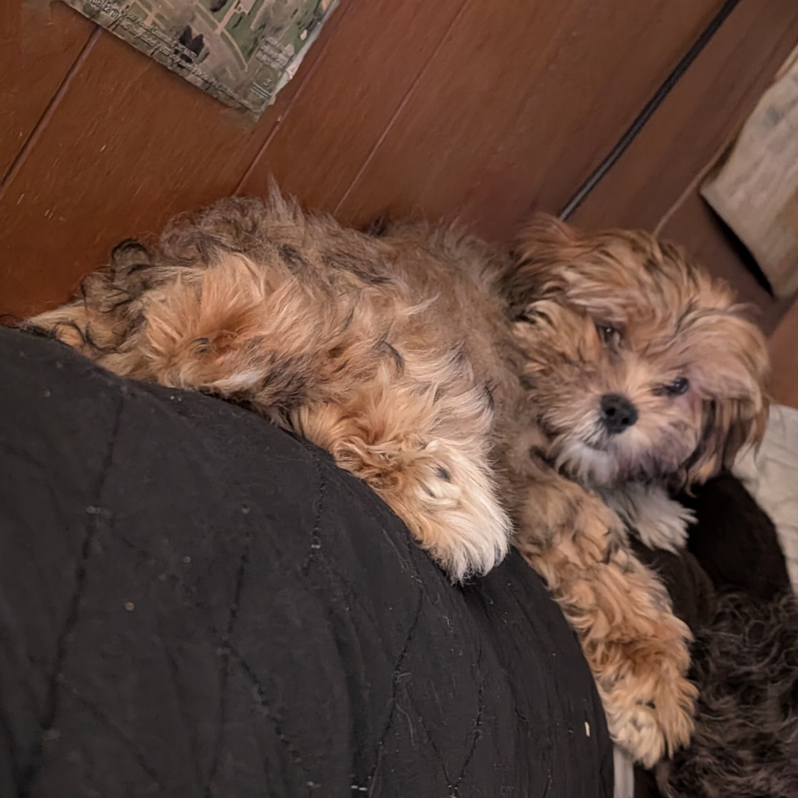 High Quality LaRue Blank Meme Template