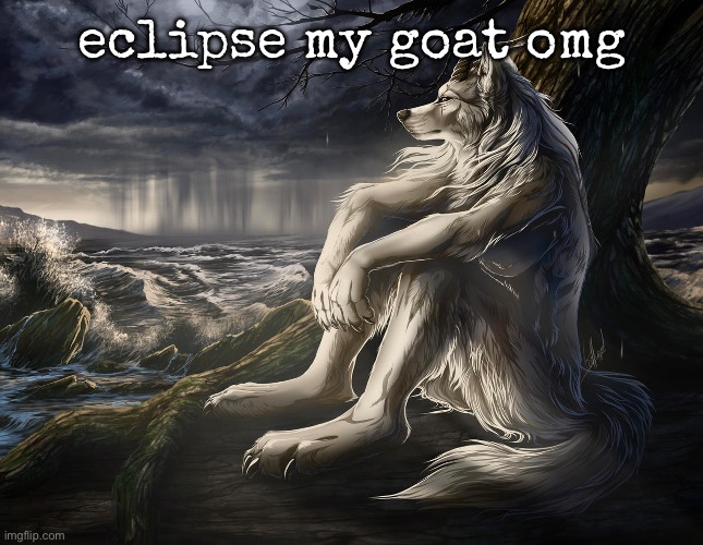Sitting Wolf | eclipse my goat omg | image tagged in sitting wolf | made w/ Imgflip meme maker