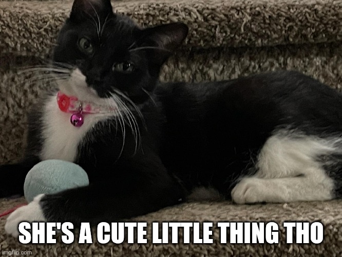SHE'S A CUTE LITTLE THING THO | made w/ Imgflip meme maker