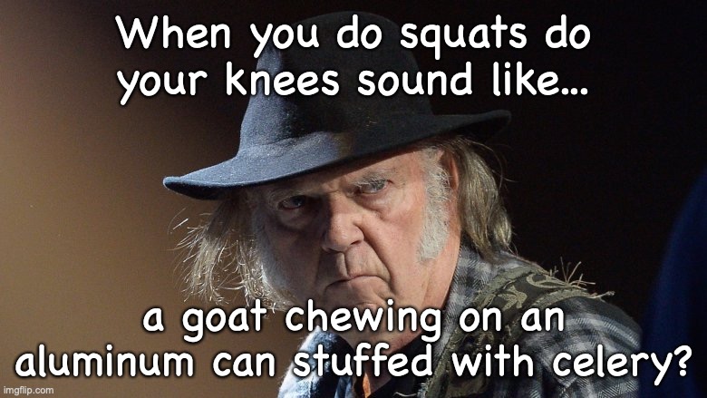 Senile Neil Young | When you do squats do your knees sound like... a goat chewing on an aluminum can stuffed with celery? | image tagged in senile neil young | made w/ Imgflip meme maker