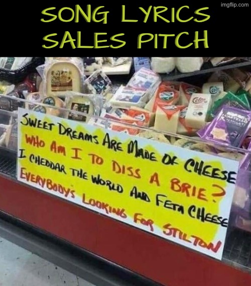 Song Lyrics Sales Pitch | SONG LYRICS SALES PITCH | image tagged in funny signs,cheese,salesman,song lyrics,funny memes,dafuq did i just read | made w/ Imgflip meme maker