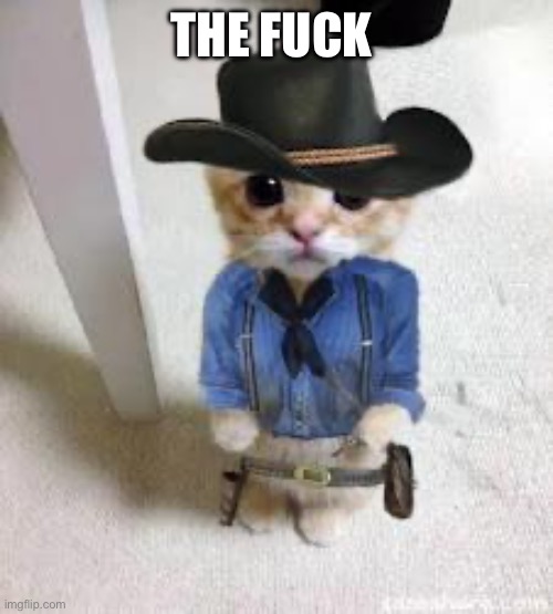 kitten Arthur Morgan | THE FUCK | image tagged in kitten arthur morgan | made w/ Imgflip meme maker