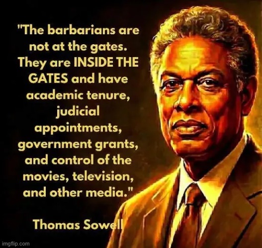 Thomas Sowell | image tagged in quotes,government,mainstream media,movies,television | made w/ Imgflip meme maker