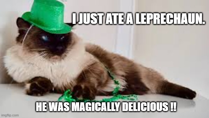 Cat just ate a Leprechaun and said it tasted "Magically Delicious". | I JUST ATE A LEPRECHAUN. HE WAS MAGICALLY DELICIOUS !! | image tagged in cat,kittens,humor,funny,leprechaun,st patricks day | made w/ Imgflip meme maker