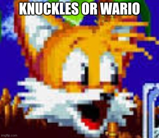 tails pog | KNUCKLES OR WARIO | image tagged in tails pog | made w/ Imgflip meme maker