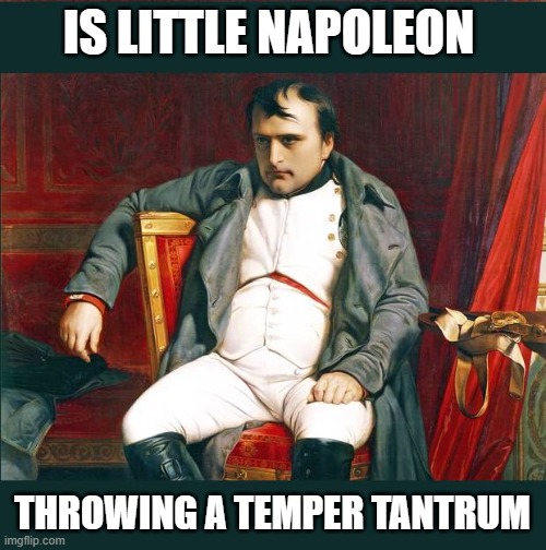 napoleon | IS LITTLE NAPOLEON THROWING A TEMPER TANTRUM | image tagged in napoleon | made w/ Imgflip meme maker