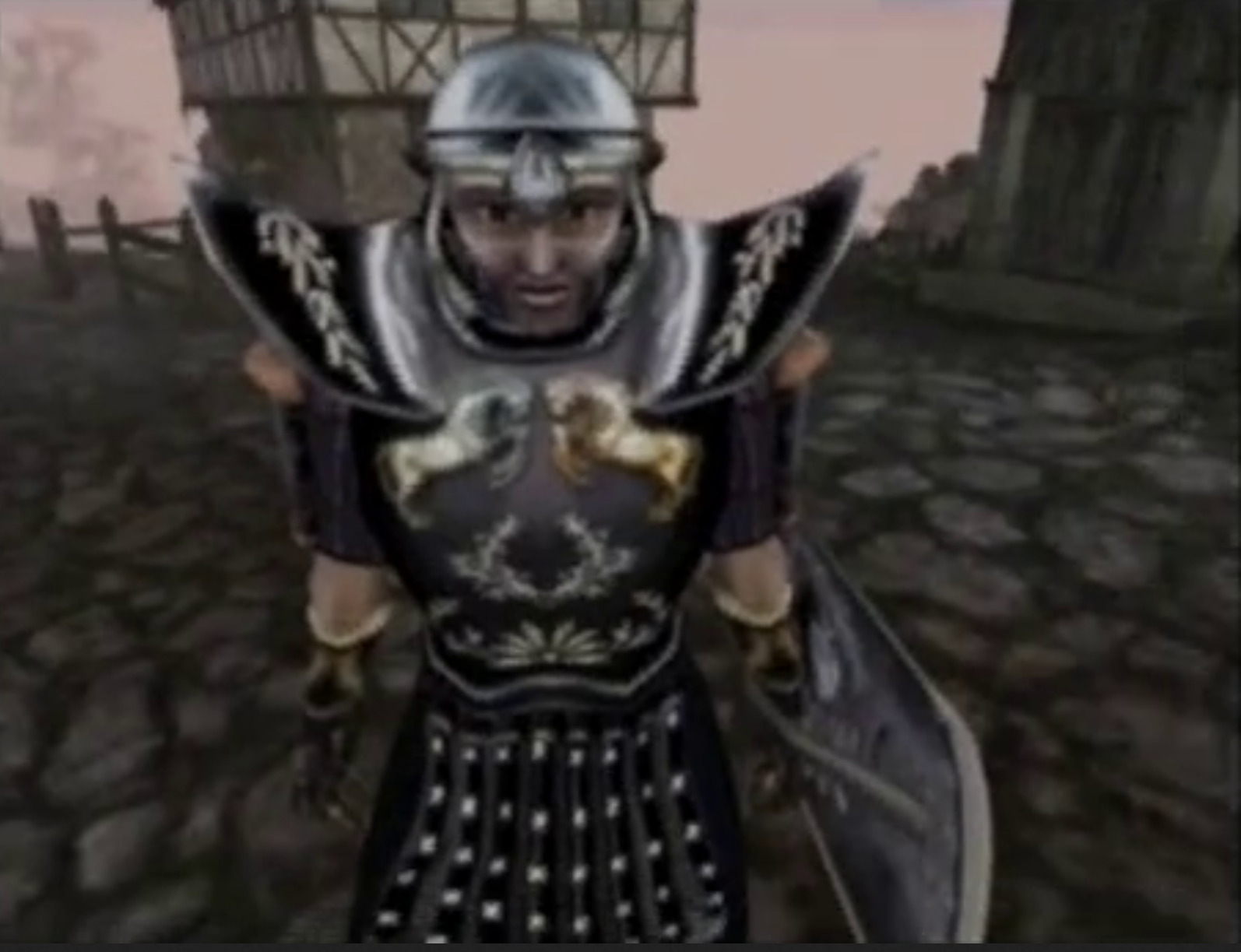 Morrowind Preview Guard Blank Meme Template