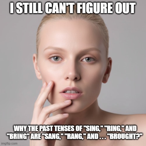 I Still Can't Figure Out Past Tenses | I STILL CAN'T FIGURE OUT; WHY THE PAST TENSES OF "SING," "RING," AND "BRING" ARE "SANG," "RANG," AND . . . "BROUGHT?" | image tagged in i still can't figure out,past tenses,sing ring bring,sang rang brought | made w/ Imgflip meme maker