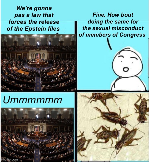 It’s a scam | Fine. How bout doing the same for the sexual misconduct of members of Congress; We’re gonna pas a law that forces the release of the Epstein files; Ummmmmm | image tagged in politics lol,memes,government corruption | made w/ Imgflip meme maker