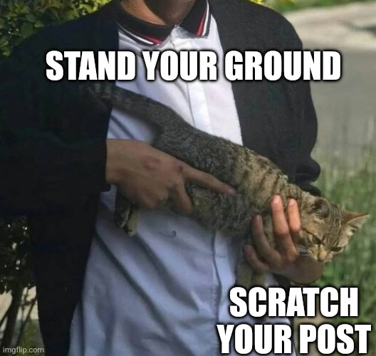 Cat Militiaman Stands Guard | STAND YOUR GROUND; SCRATCH YOUR POST | image tagged in ya i open carry,memes,cat,stand your ground,scratch,guns | made w/ Imgflip meme maker