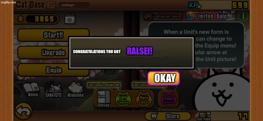 item obtain | RALSEI! CONGRATULATIONS YOU GOT; OKAY | image tagged in item obtain | made w/ Imgflip meme maker