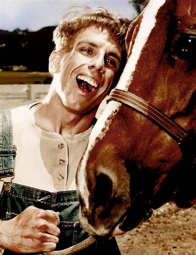 Markwayne Mullin Blank Meme Template