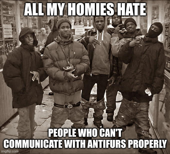 All My Homies Hate | ALL MY HOMIES HATE; PEOPLE WHO CAN'T COMMUNICATE WITH ANTIFURS PROPERLY | image tagged in all my homies hate | made w/ Imgflip meme maker