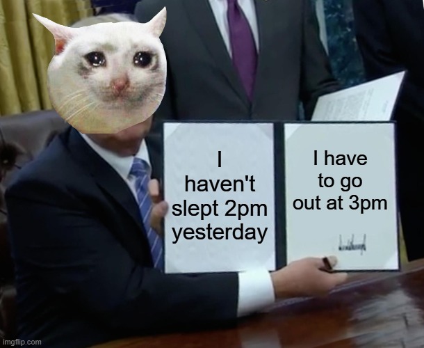 I do these things to myself | I haven't slept 2pm yesterday; I have to go out at 3pm | image tagged in memes,trump bill signing | made w/ Imgflip meme maker