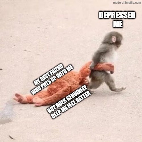 el chimpo | DEPRESSED 
ME; MY BEST FRIEND
WHO PUTS UP WITH ME; BUT DOES GENUINELY
HELP ME FEEL BETTER | image tagged in punch the monkey | made w/ Imgflip meme maker