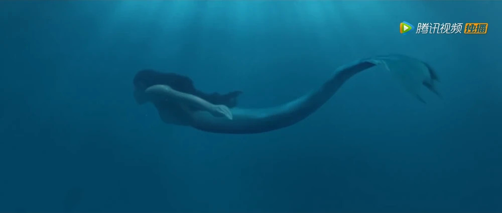 xi yan swimming Blank Meme Template