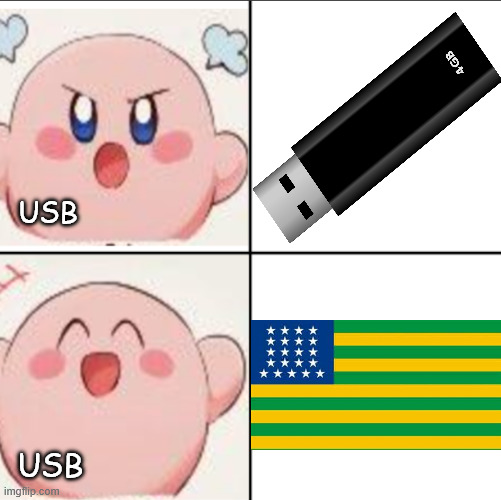 USB | USB; USB | image tagged in drake format but kirby | made w/ Imgflip meme maker