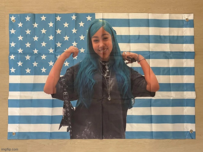 North West USA Flag | image tagged in north west blue u s a flag,kanye,rap,american flag,north west,kanye west | made w/ Imgflip meme maker