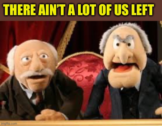 Old Guys from Muppets | THERE AIN’T A LOT OF US LEFT | image tagged in old guys from muppets | made w/ Imgflip meme maker
