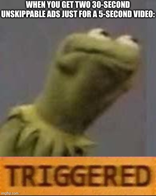 I mean, how can a literal short video be so monetised to have those kind of ads?? | WHEN YOU GET TWO 30-SECOND UNSKIPPABLE ADS JUST FOR A 5-SECOND VIDEO: | image tagged in kermit triggered,youtube ads,youtube,life sucks,what a terrible day to have eyes,you stupid shit | made w/ Imgflip meme maker