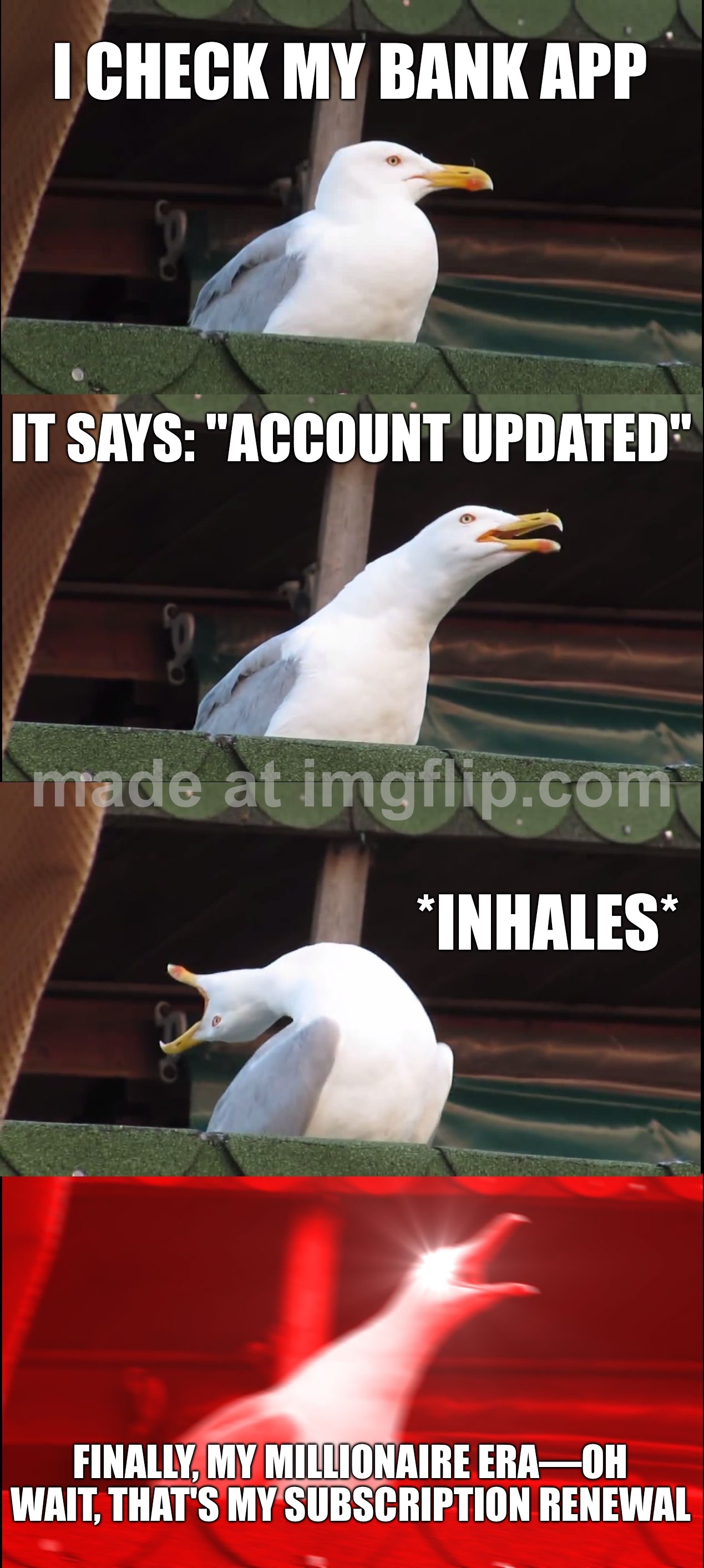 FINALLY, MY MILLIONAIRE ERA—OH WAIT, THAT'S MY SUBSCRIPTION RENEWAL | I CHECK MY BANK APP; IT SAYS: "ACCOUNT UPDATED"; *INHALES*; FINALLY, MY MILLIONAIRE ERA—OH WAIT, THAT'S MY SUBSCRIPTION RENEWAL | image tagged in memes,inhaling seagull,who wants to be a millionaire,bank account,subscribe,updates | made w/ Imgflip meme maker