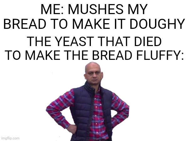 Bread | ME: MUSHES MY BREAD TO MAKE IT DOUGHY; THE YEAST THAT DIED TO MAKE THE BREAD FLUFFY: | image tagged in bread | made w/ Imgflip meme maker