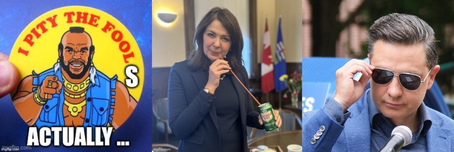 Canadian politics | image tagged in political meme | made w/ Imgflip meme maker