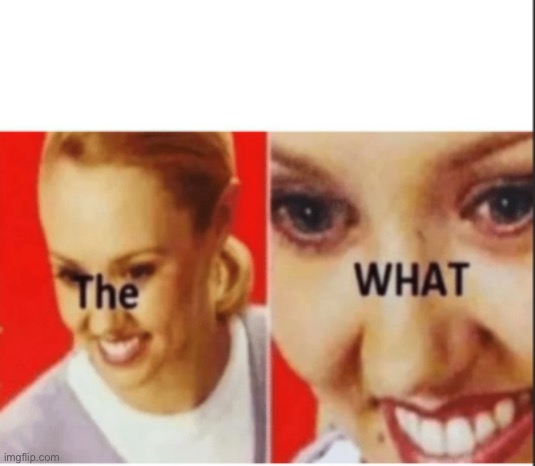 The WHAT | image tagged in the what | made w/ Imgflip meme maker