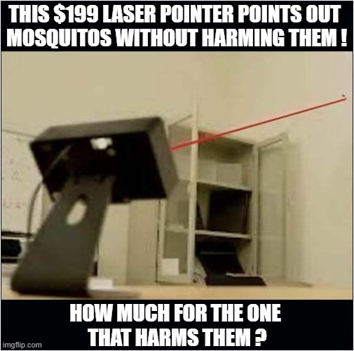 Pointless Technology ? | THIS $199 LASER POINTER POINTS OUT 
MOSQUITOS WITHOUT HARMING THEM ! HOW MUCH FOR THE ONE
 THAT HARMS THEM ? | image tagged in lasers,pointless,mosquitoes | made w/ Imgflip meme maker