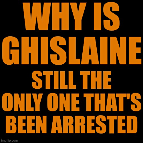 Arrest Every Last One Of The Grapests.  NO MORE EXCUSES!!!  LOCK. HIM. UP. | WHY IS GHISLAINE; STILL THE ONLY ONE THAT'S BEEN ARRESTED | image tagged in memes,jeffrey epstein,lock him up,impeach trump,arrest the men,seriously wtf | made w/ Imgflip meme maker