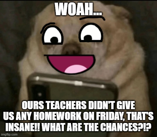 What are the chances?!?! | WOAH... OURS TEACHERS DIDN'T GIVE US ANY HOMEWORK ON FRIDAY, THAT'S INSANE!! WHAT ARE THE CHANCES?!? | image tagged in teh happy dog,memes,dog,relatable,smiling dog | made w/ Imgflip meme maker