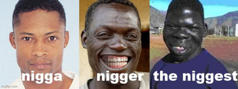 Nιggеr Leаderbοаrd | image tagged in memes,meme,aaaaaa-memes,nigga,black people,leaderboard | made w/ Imgflip meme maker