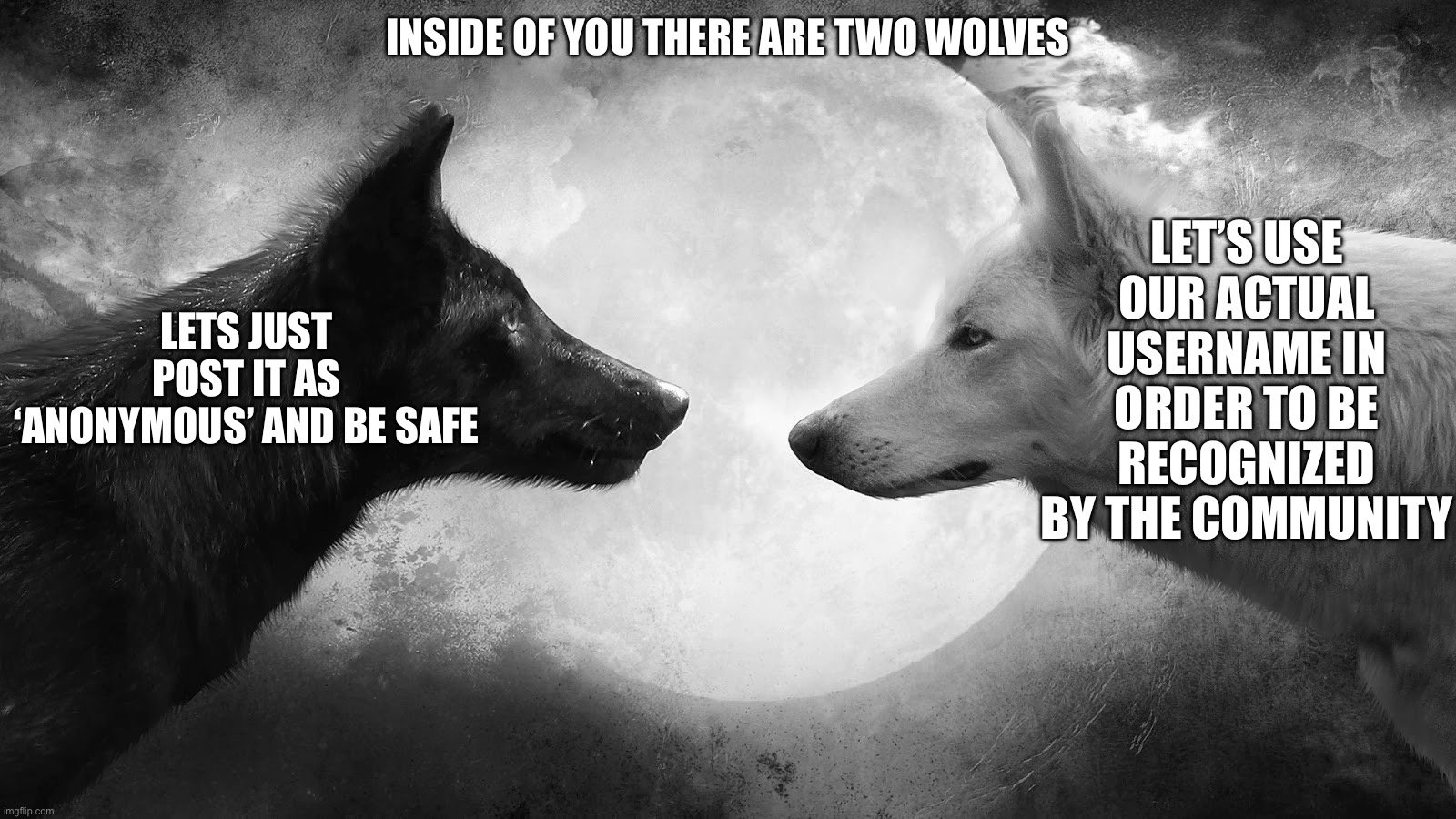 You decide | INSIDE OF YOU THERE ARE TWO WOLVES; LET’S USE OUR ACTUAL USERNAME IN ORDER TO BE RECOGNIZED BY THE COMMUNITY; LETS JUST POST IT AS ‘ANONYMOUS’ AND BE SAFE | image tagged in you have two wolves | made w/ Imgflip meme maker
