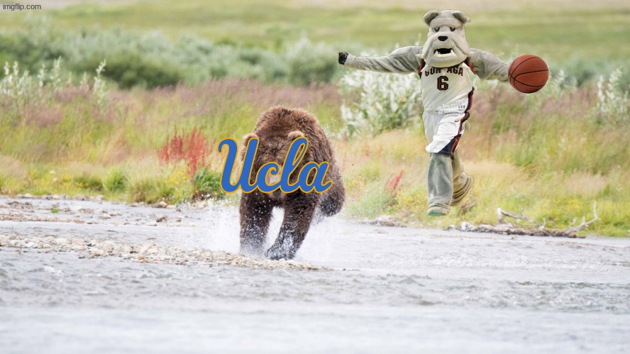 UCLA Gonzaga meme | image tagged in ucla,gonzaga,basketball,college,sports,nba meme | made w/ Imgflip meme maker