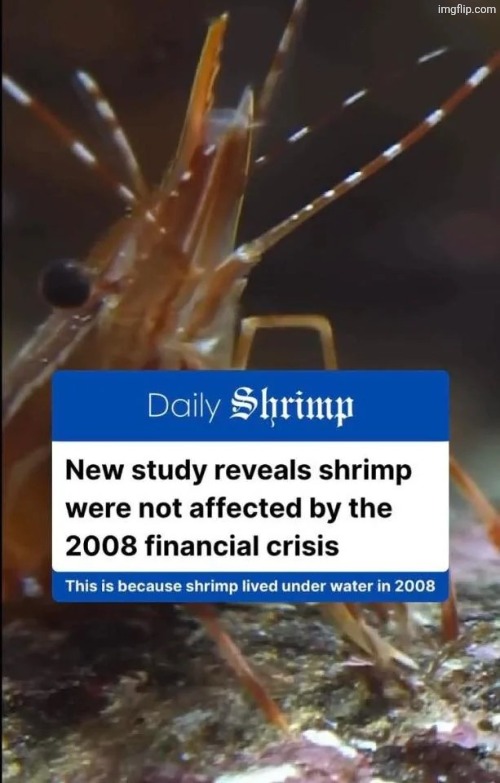 , | image tagged in msmg | made w/ Imgflip meme maker