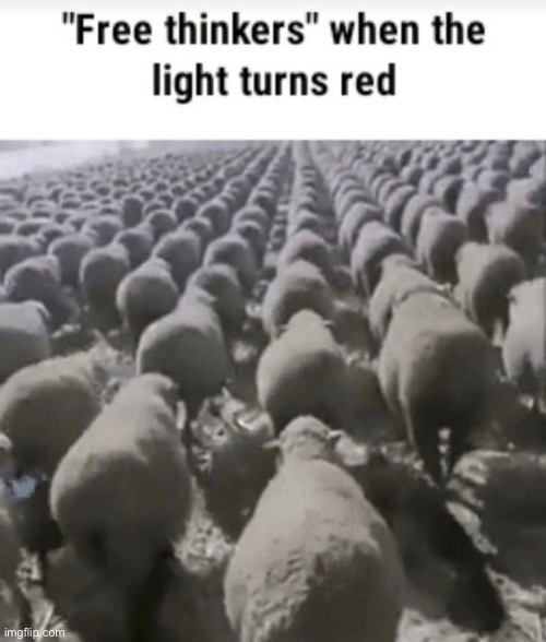 image tagged in msmg | made w/ Imgflip meme maker