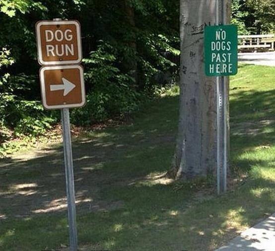 Chrisjoines1 Blank Meme Template