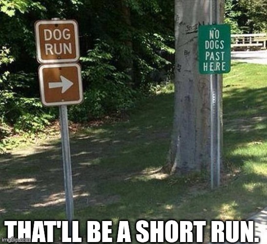 That'll Be A Short Run. | THAT'LL BE A SHORT RUN. | image tagged in chrisjoines1 | made w/ Imgflip meme maker