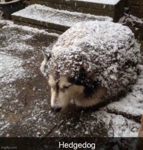 fluffy | image tagged in msmg | made w/ Imgflip meme maker