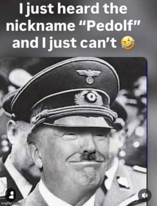 Convicted Rapist | image tagged in pedolf,trump | made w/ Imgflip meme maker