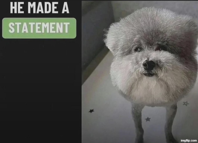 He made a statement blank | image tagged in he made a statement blank | made w/ Imgflip meme maker