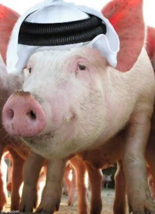 Iran's Next Supreme Leader | made w/ Imgflip meme maker