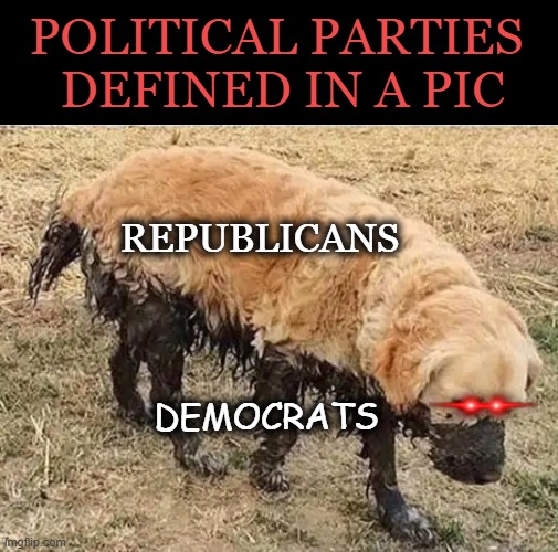 We Are a Republic, Not a Democracy | POLITICAL PARTIES 
DEFINED IN A PIC; REPUBLICANS; DEMOCRATS | image tagged in republican party,democrat party,fraud waste abuse,america first,make america great again,political humor | made w/ Imgflip meme maker